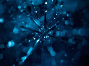 zdrowie_2-14-4-300x225