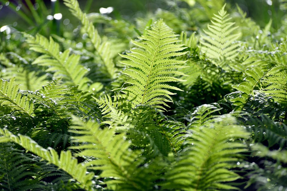 pexels-photo-16824386-chmura-strachu-znad-fukuszimy-spoleczenstwo