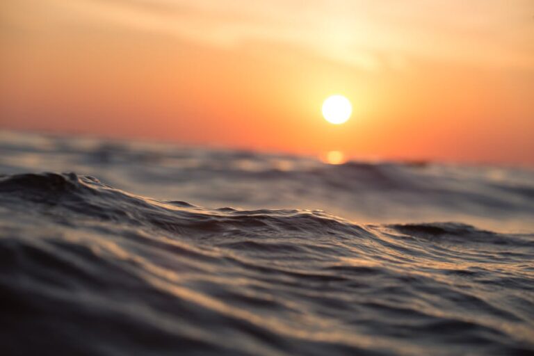 pexels-photo-189349-krwawi-krolowie-oceanow-nauka